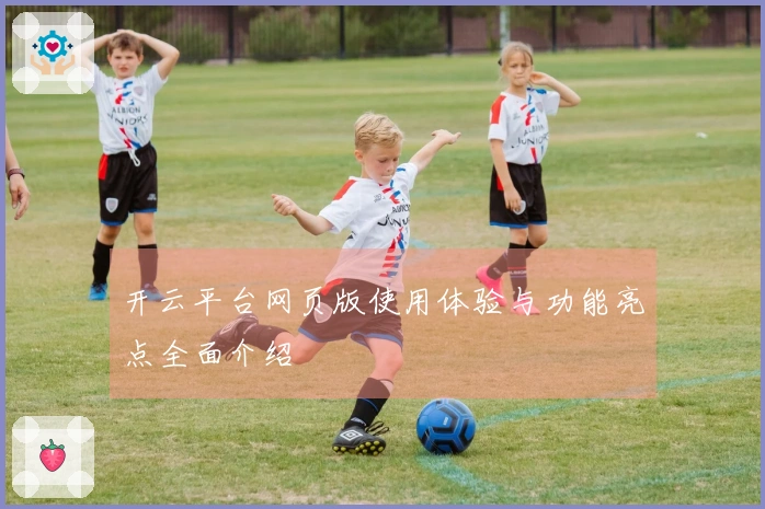 开云平台网页版使用体验与功能亮点全面介绍